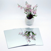 3mm 4mm 5mm 6mm Mirror Glass Plate Prices 
