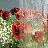 Clear and Colored patterned glass/Rolled Glass/Figured Glass, from 3mm to 6mm, different designs for decoration use 